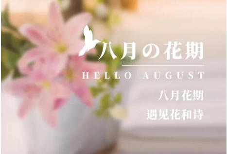 八月,八月的花期,月历,花朵,粉色,植物,清新,植物,广告宣传,电商微商,情感